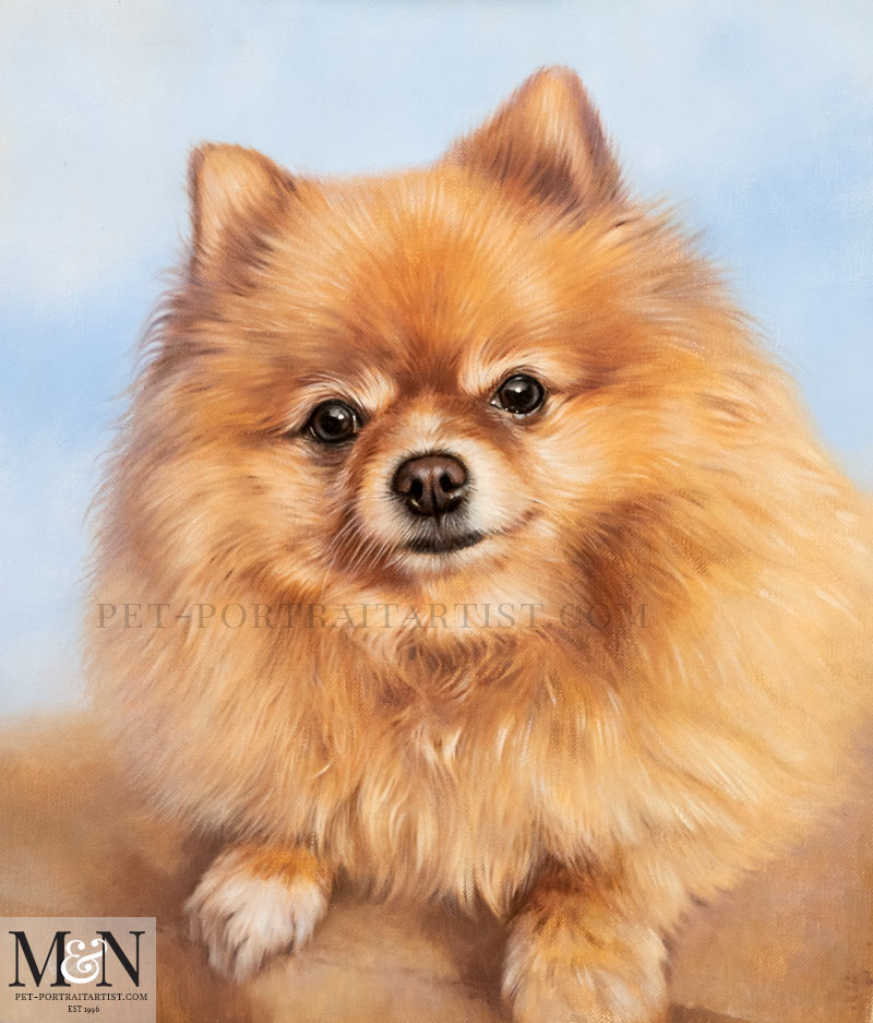 Oil Pet Portrait of Boo The Pomeranian