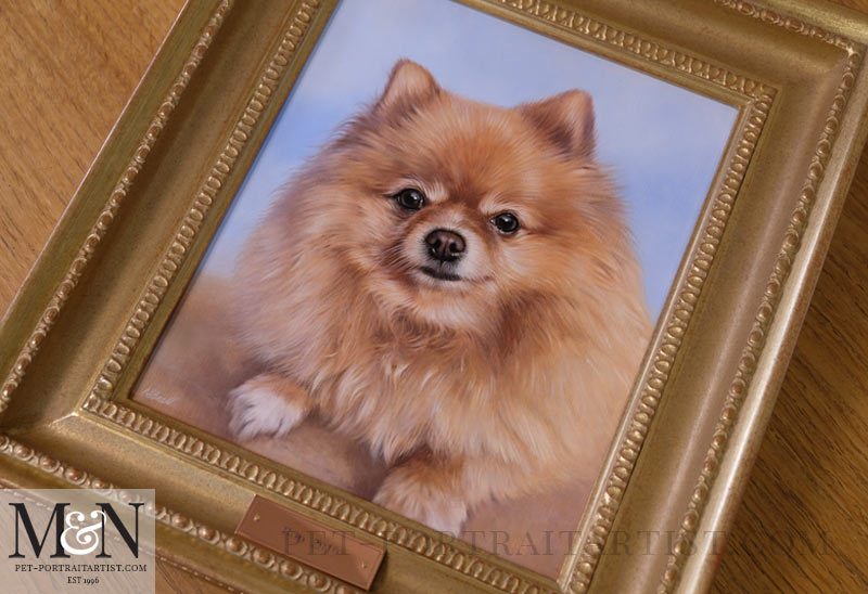 Oil Pet Portrait of Boo The Pomeranian