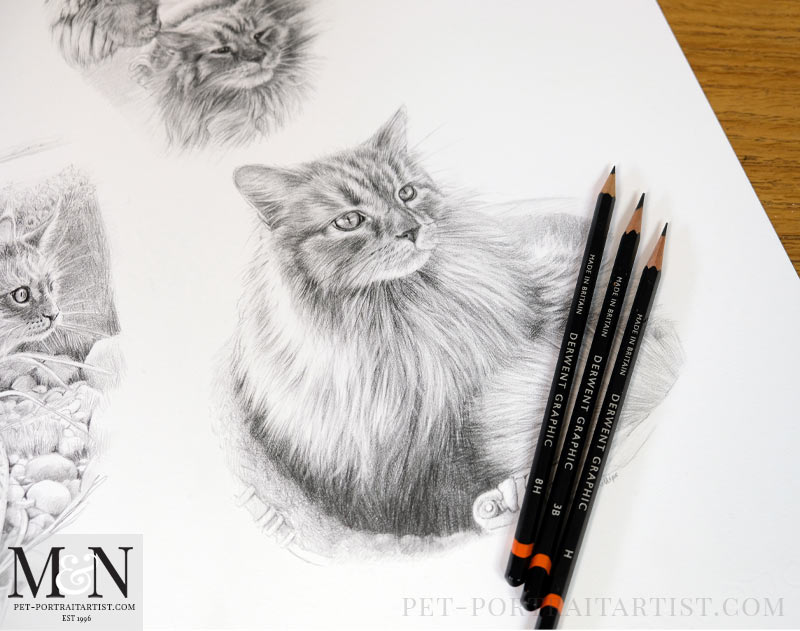 Cat Pencil Portrait