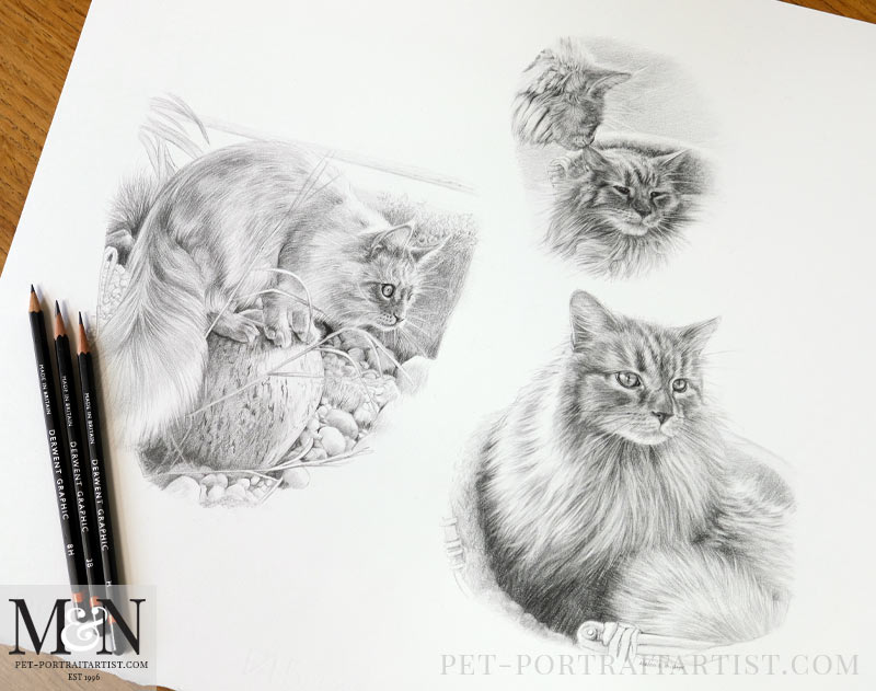 Cat Pencil Pet Portrait