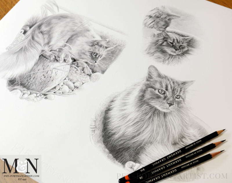 Cat Pencil Portrait