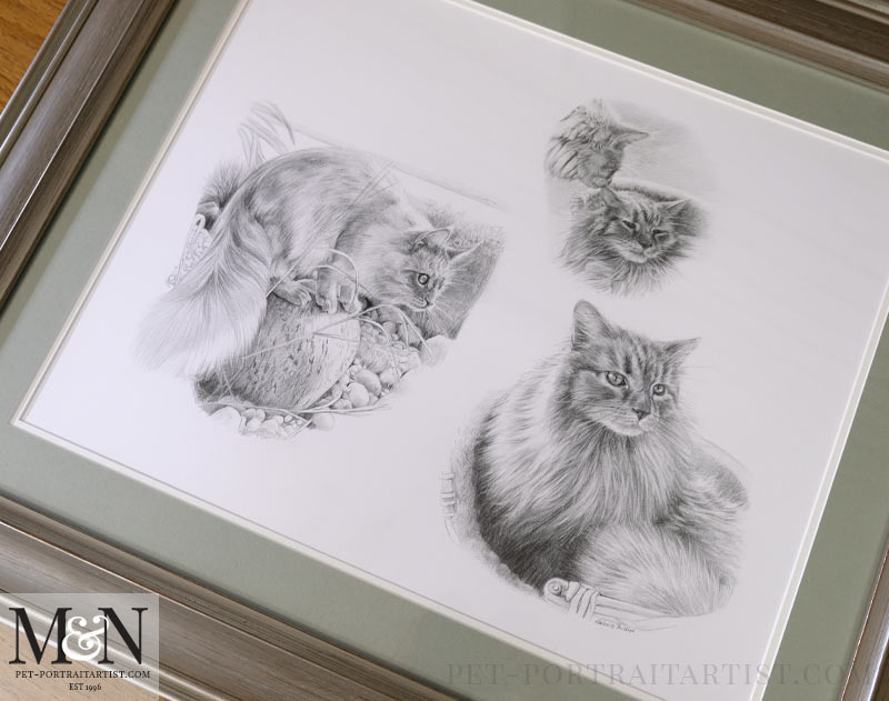 Full pencil drawing framed