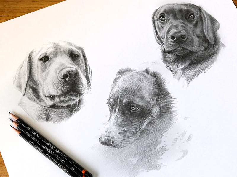 Triple Dog Portrait in Pencil