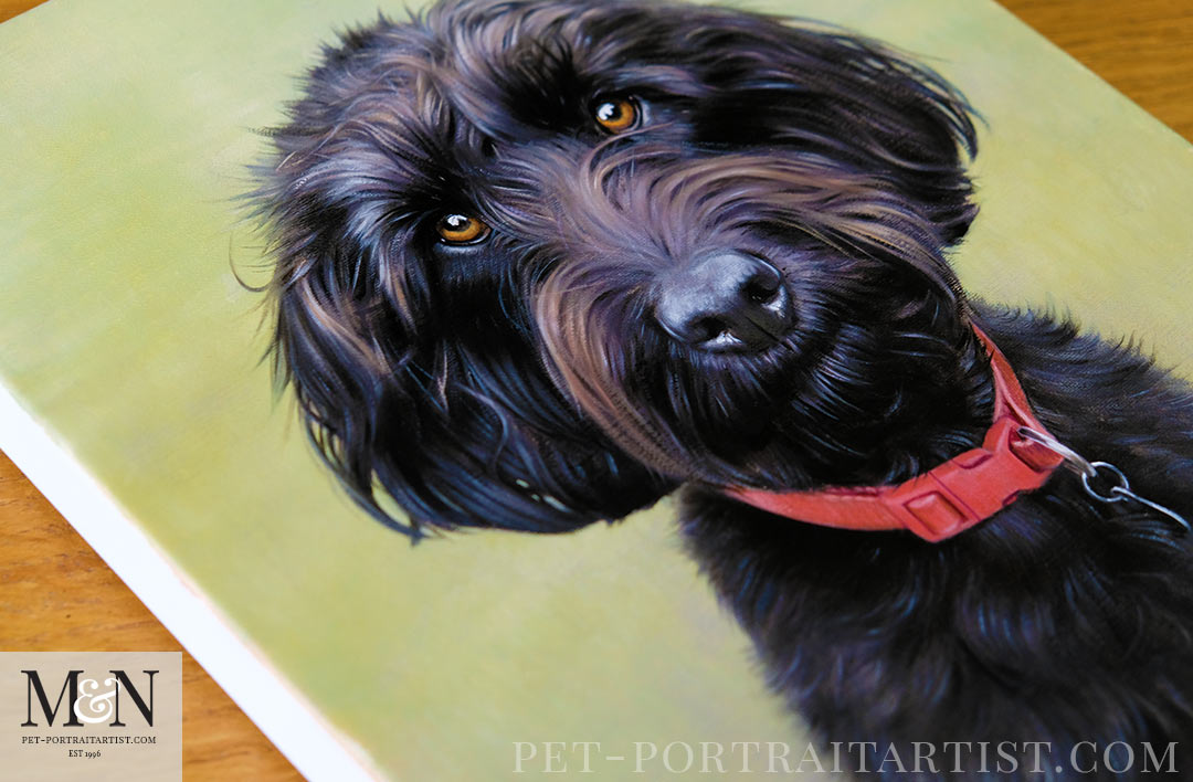 Labradoodle Pet Portrait in Oils