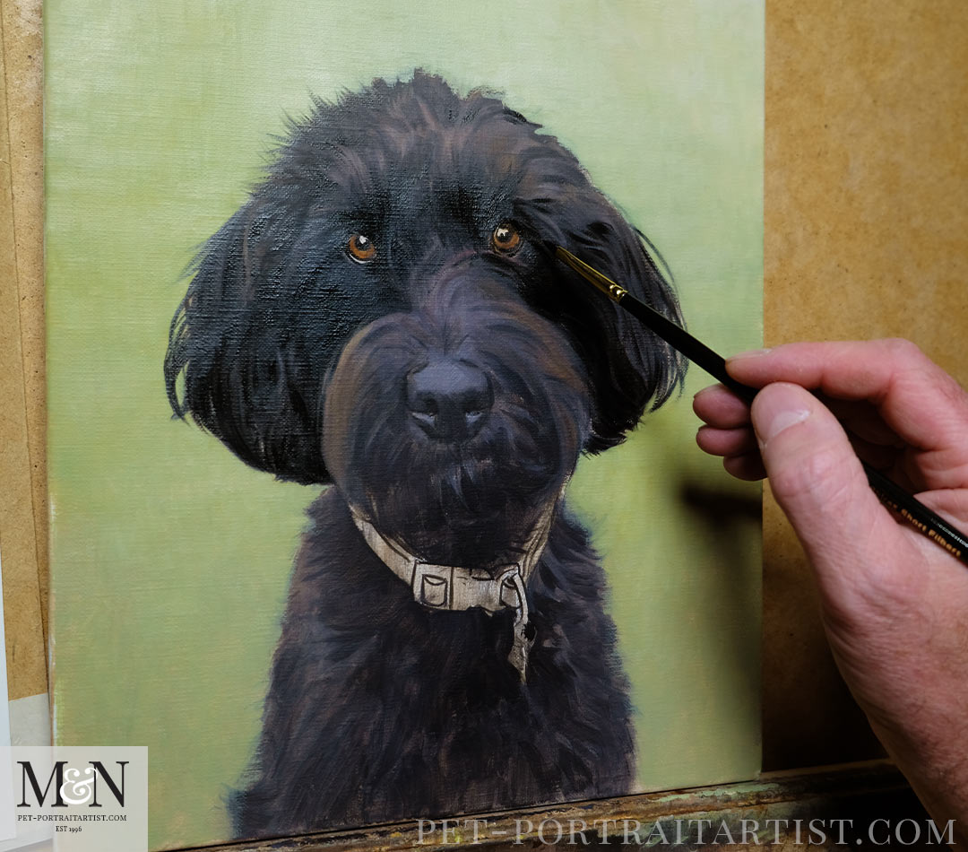 Labradoodle pet portrait in progress