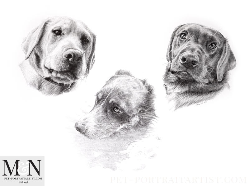 Triple Dog Portrait in Pencil