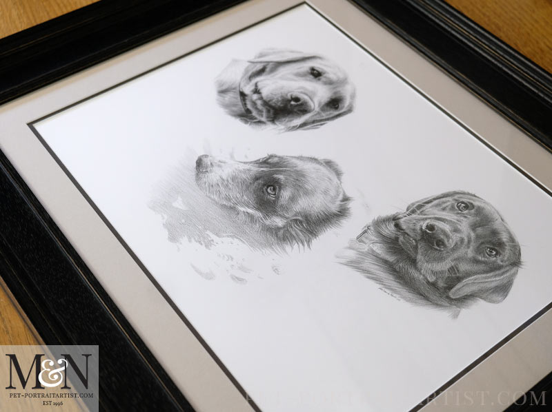 Lastly the Framed Dog Portrait in full