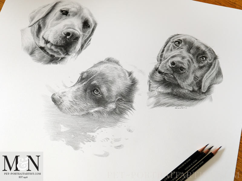 Triple Dog Portrait in Pencil