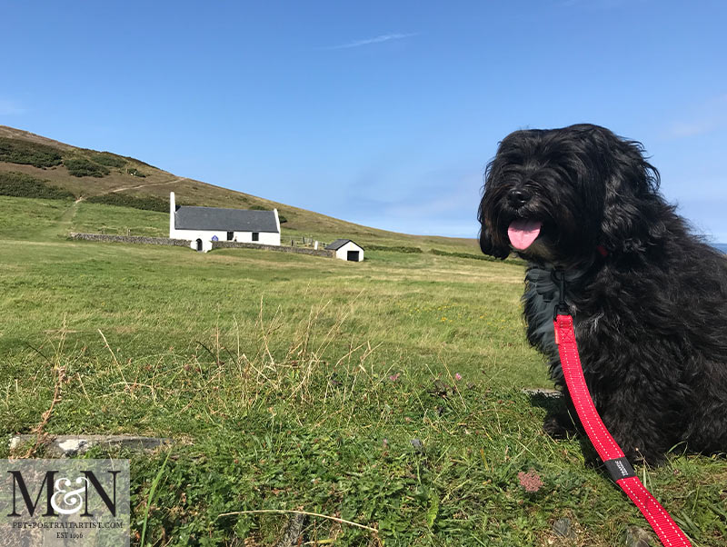 Mwnt