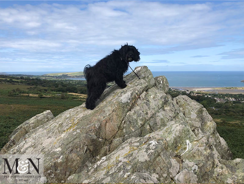 The top of Carningli Mountain