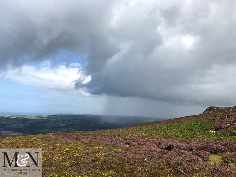 Rain in the distance