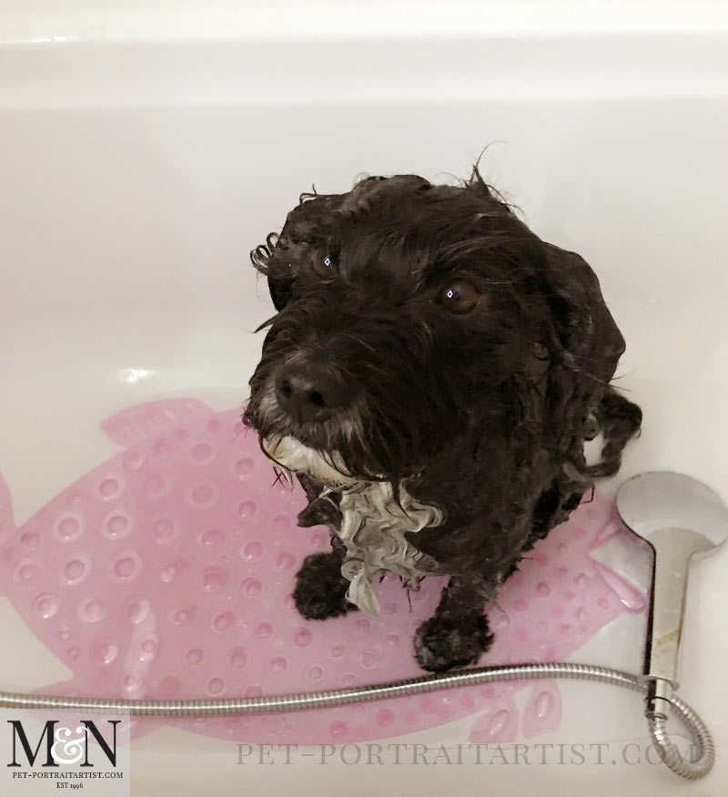 Lily in the Bath!