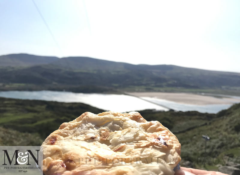 Lunch - hand made pie overlooking Barmouth