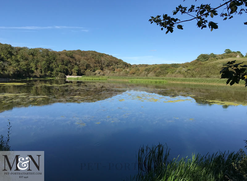 Bosherston Lily Ponds