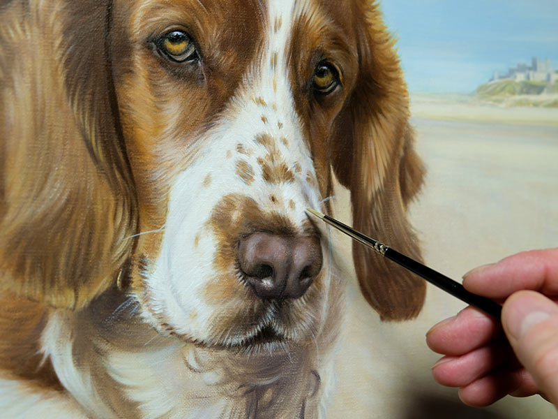 Spaniel Pet Portrait in Oils of Millie