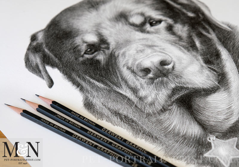 Ruffwear Logo Portrait