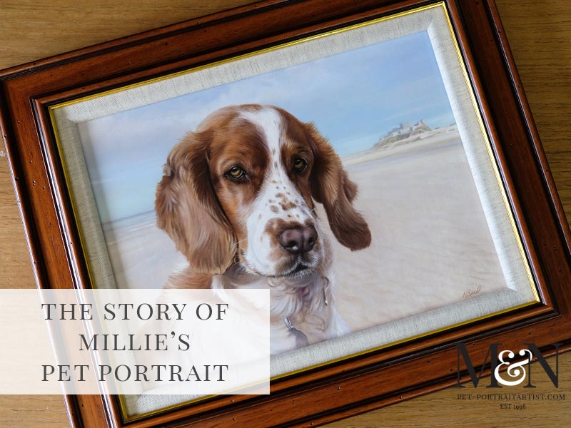 Spaniel Pet Portrait in Oils of Millie