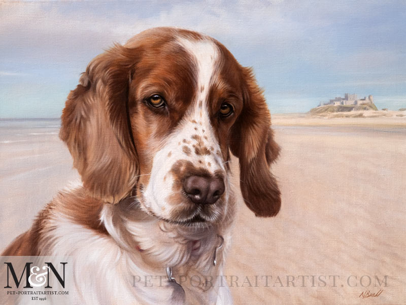 Spaniel Pet Portrait in Oils of Millie