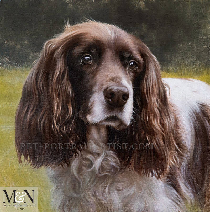 Spaniel Pet Portrait of KitKat