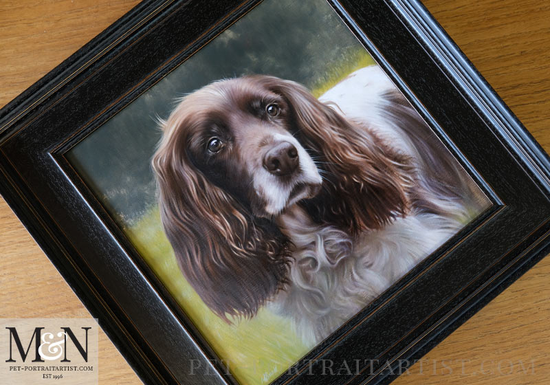 Spaniel Pet Portraits Framed