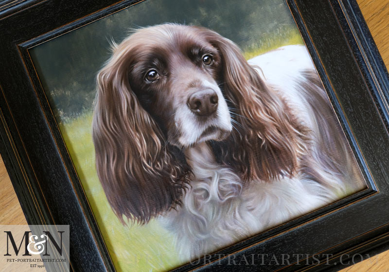 Spaniel Pet Portrait of KitKat