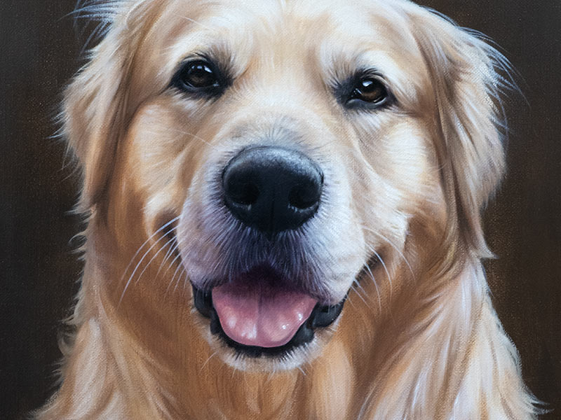 Golden Retriever Oil Painting