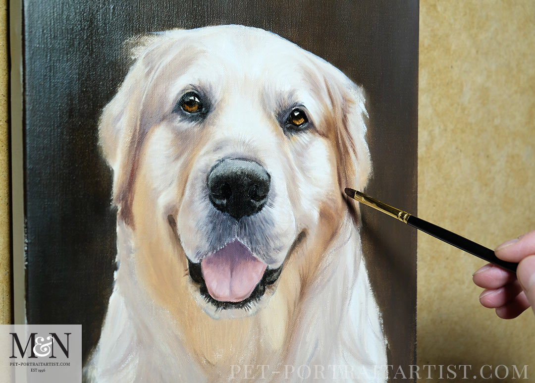 Golden Retriever Oil Painting in Progress