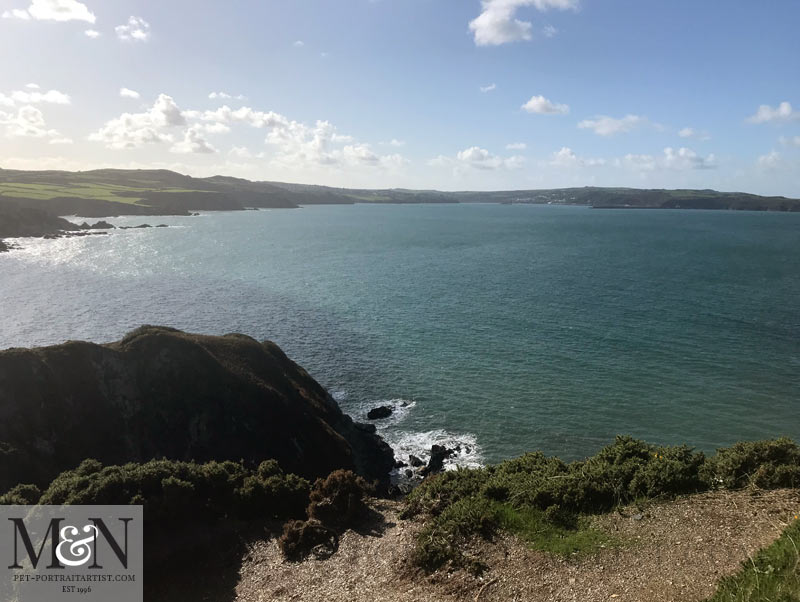 View looking out to see down the coast on Dinas Island. 