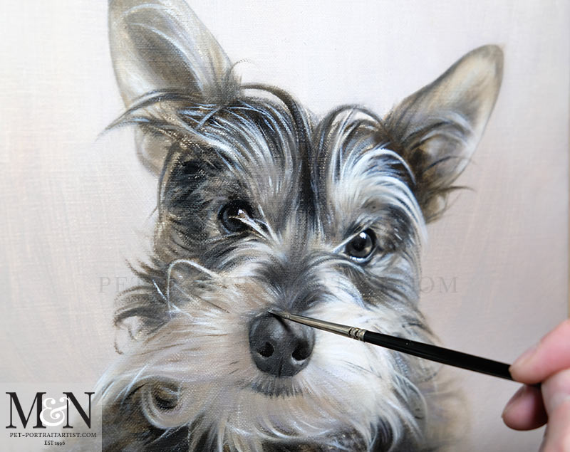 Oil Pet Portraits by Nicholas Beall