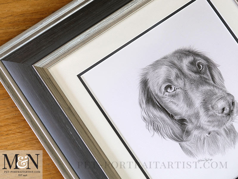 The Drawing of Bramble Framed