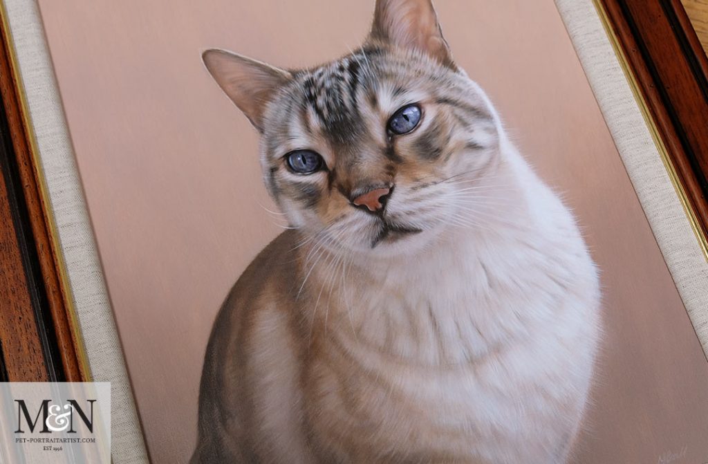 Cat Portraits in Oils