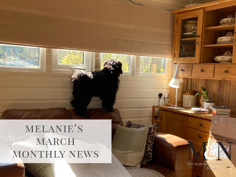 Melanie’s March Monthly News