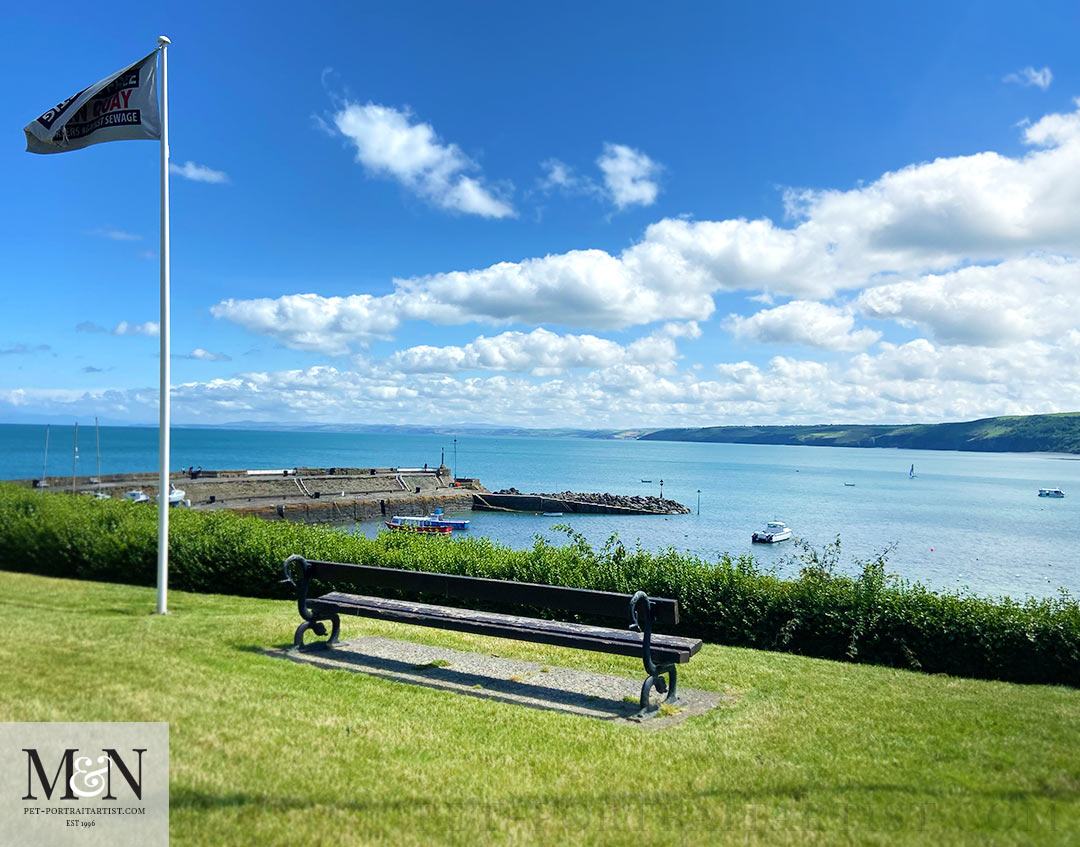 View from New Quay