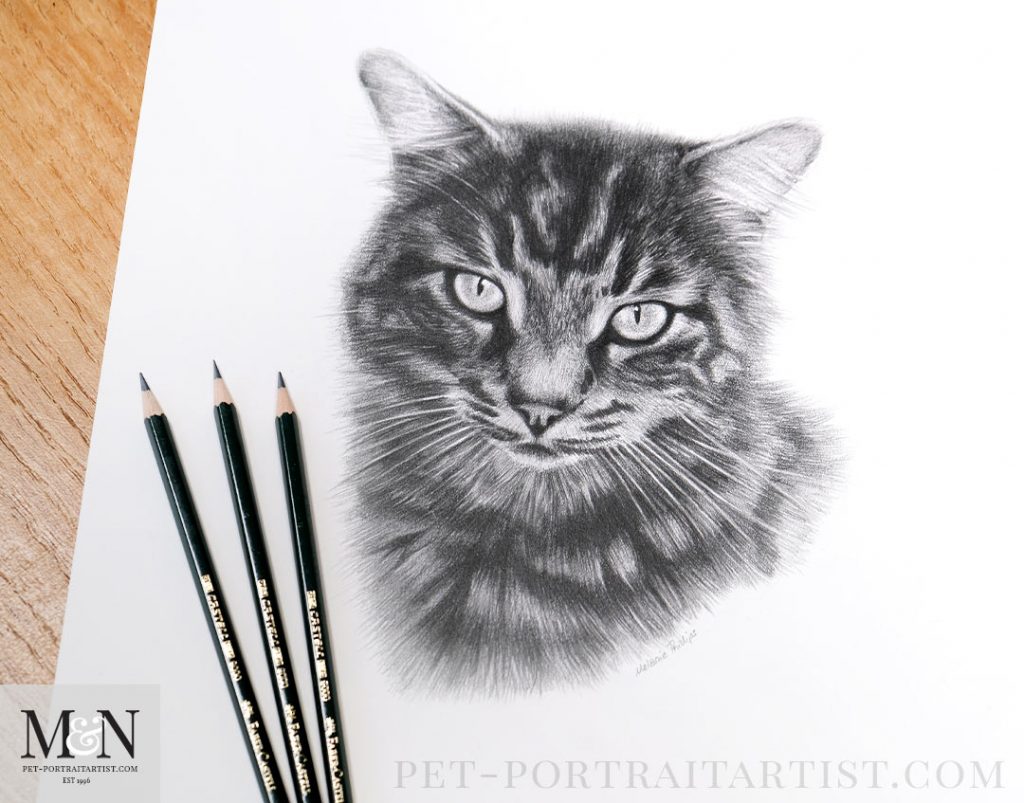 Pencil Portrait of Jet