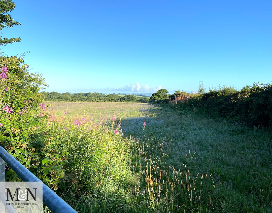 Top of the lane view