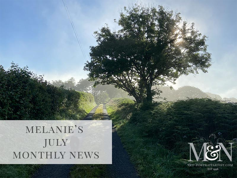 Melanie’s July Monthly News
