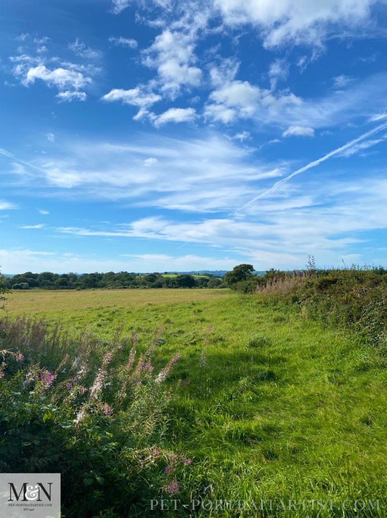 Top of the Lane