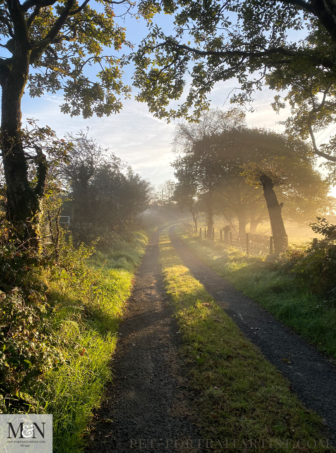 Walking the Lane with Lily