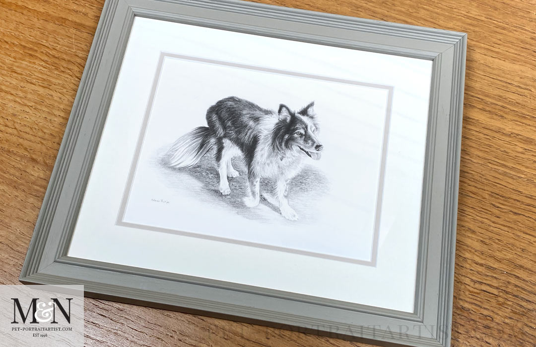 Melanie’s October Monthly News -Domino's Pencil Drawing
