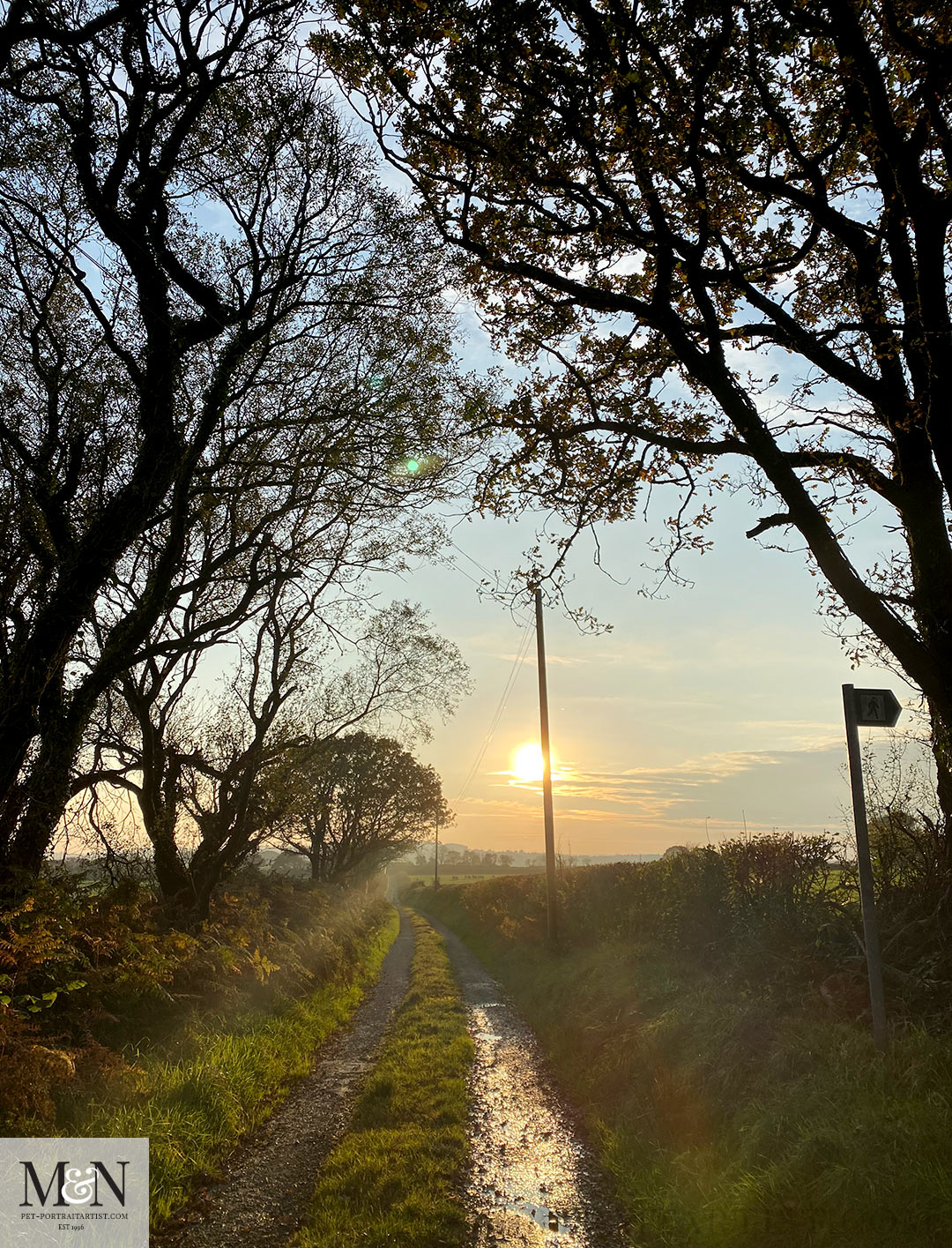 Evening Walk