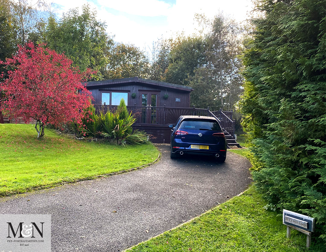 Powys Cabin