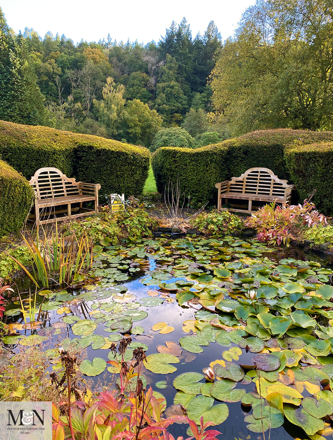 Pond seating