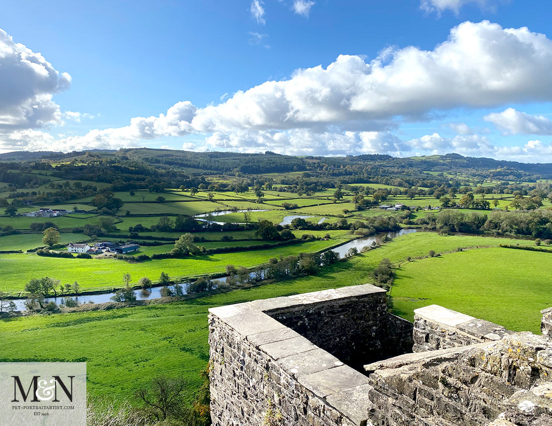 View from Dinefwr Castle