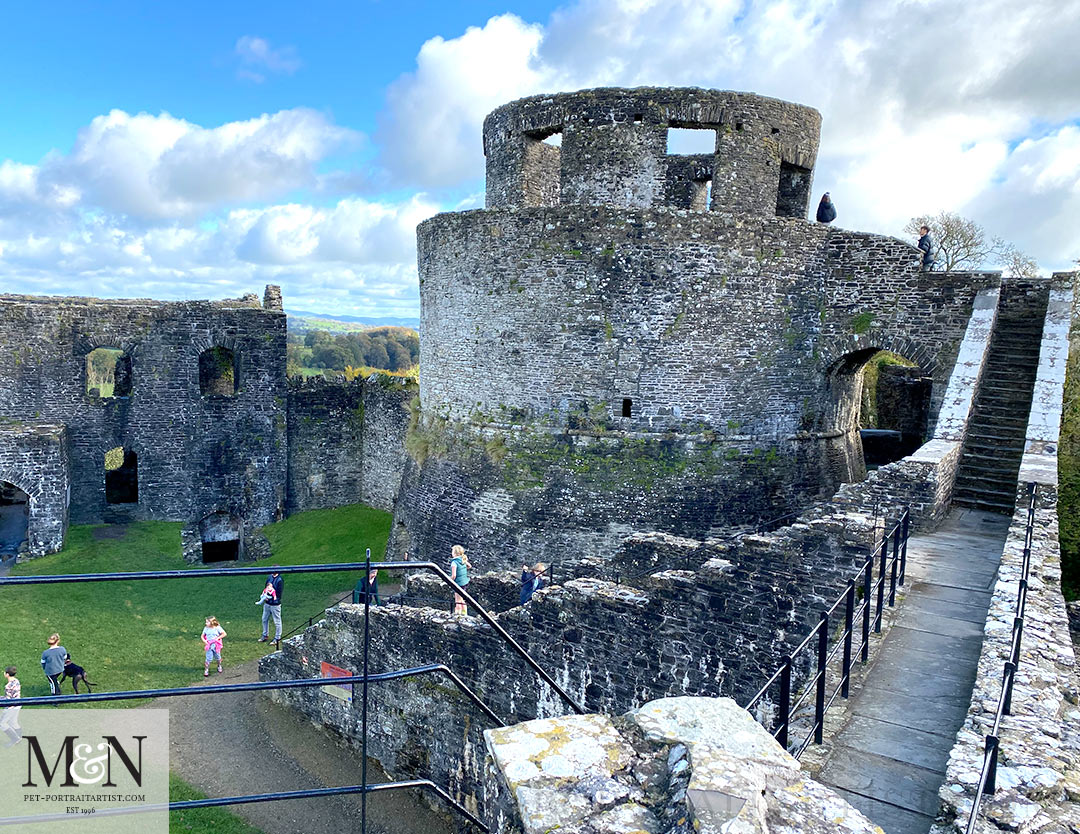 View of Dinefwr Castle