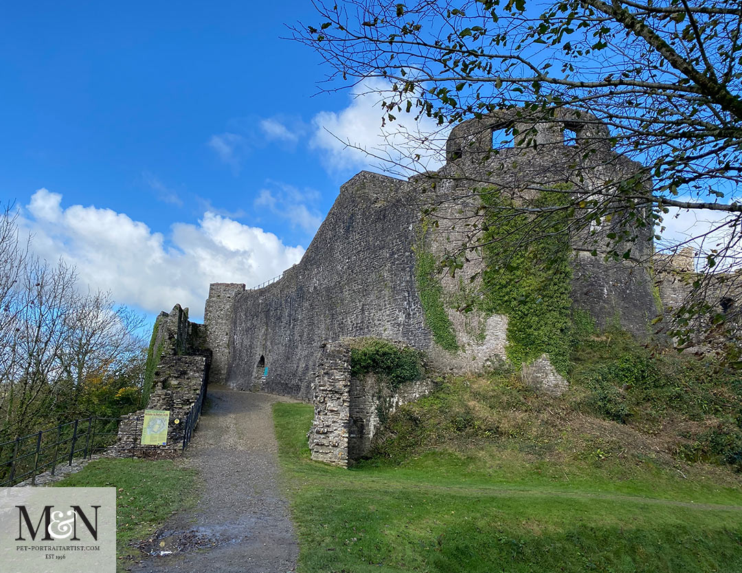 Dinefwr Castle Entrance