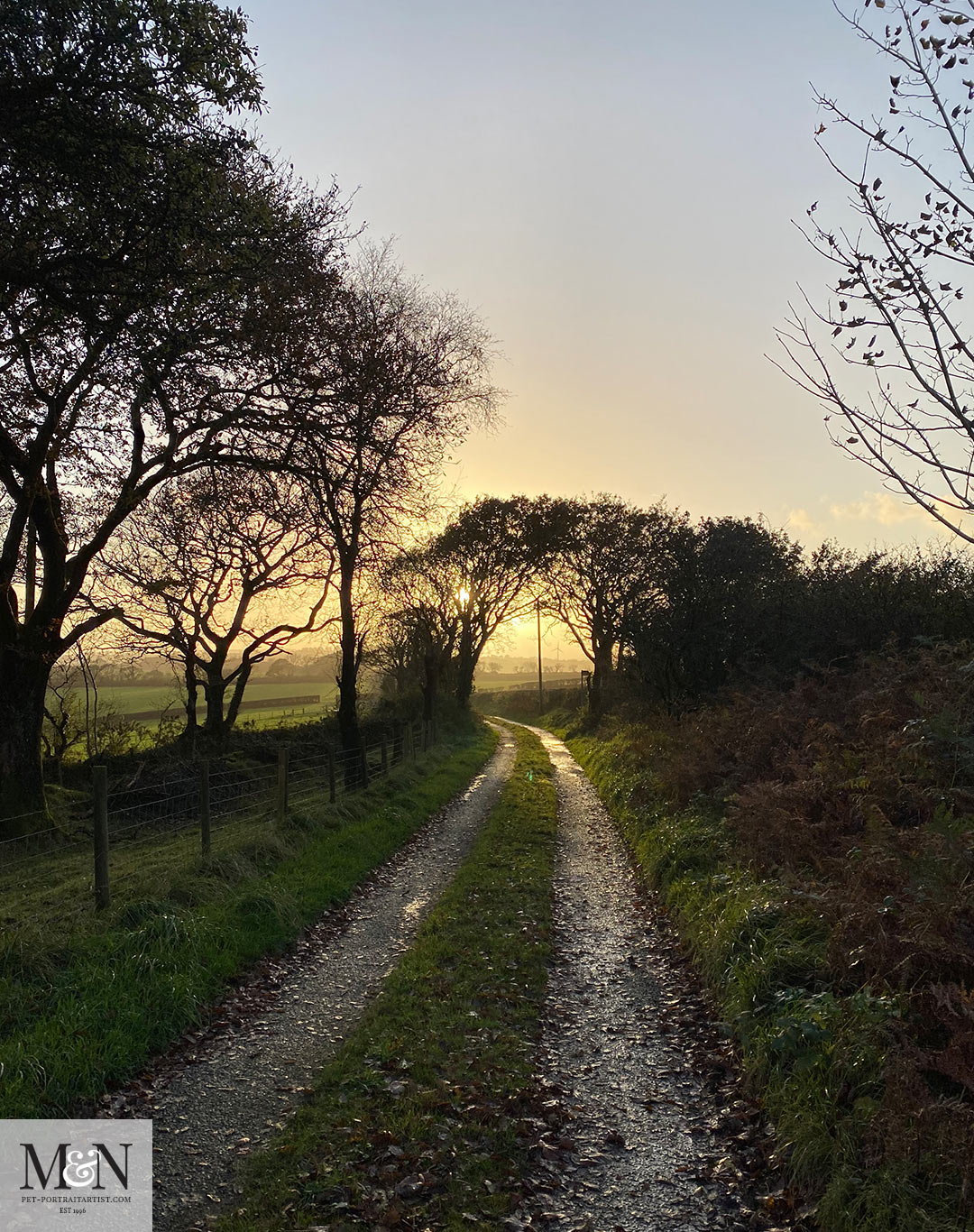 Lane in the evening