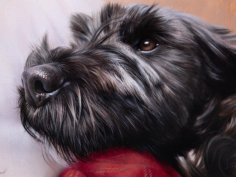 Lottie’s Oil Painting – Tibetan Terrier Portrait