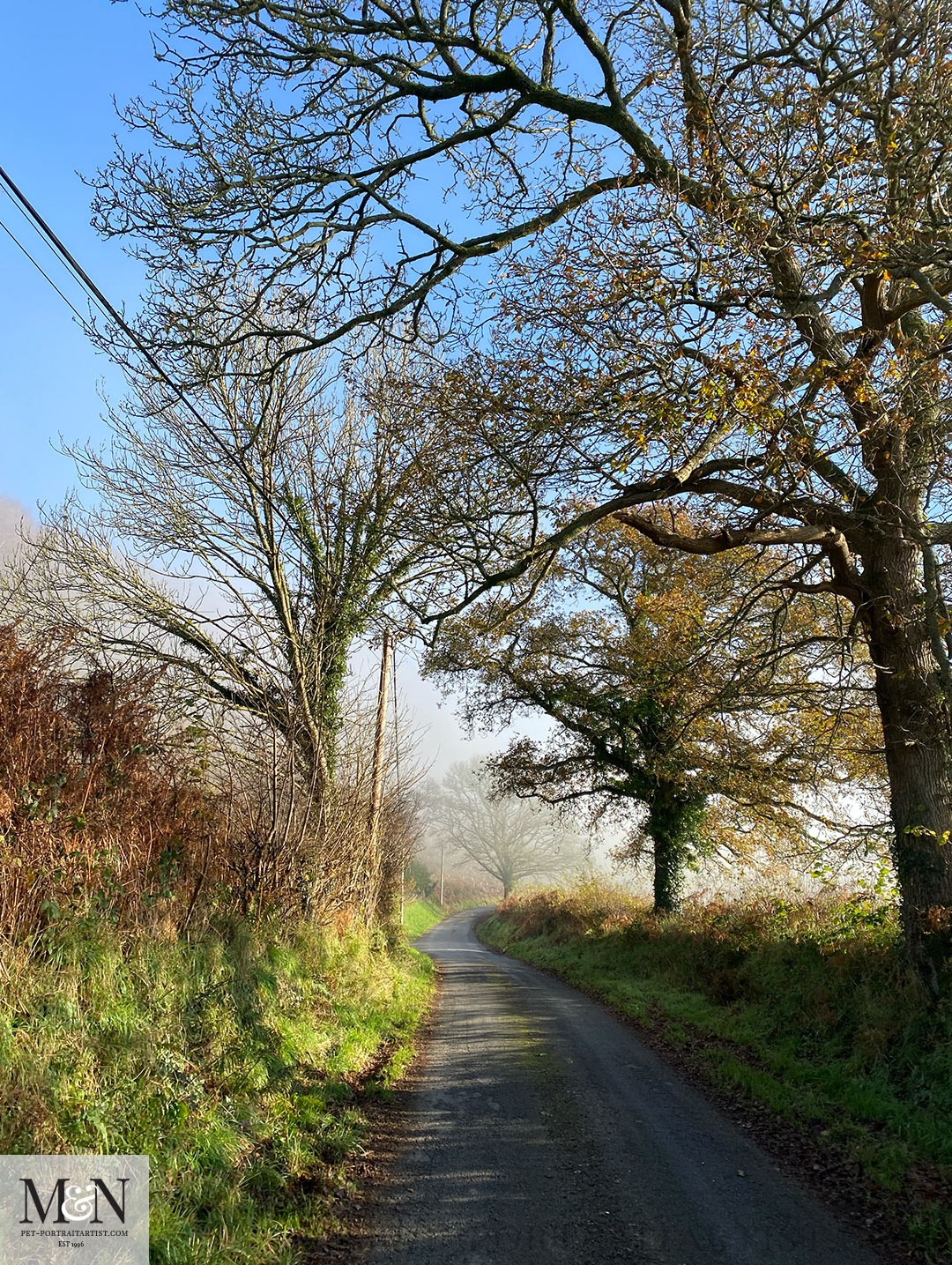 Misty lane run