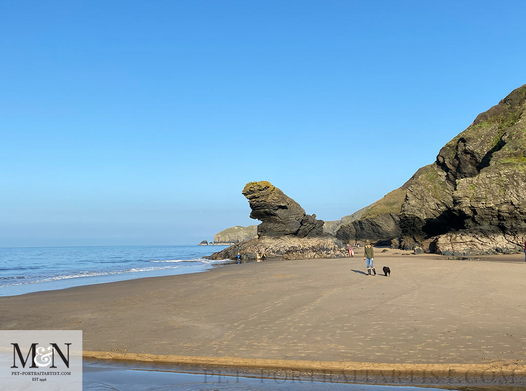 Beach Fun in Llangrannog