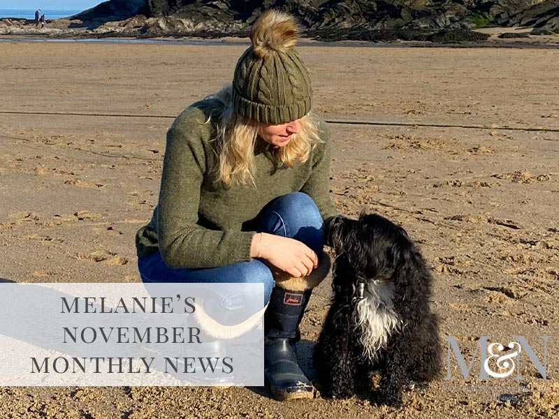 Melanie’s November Monthly News